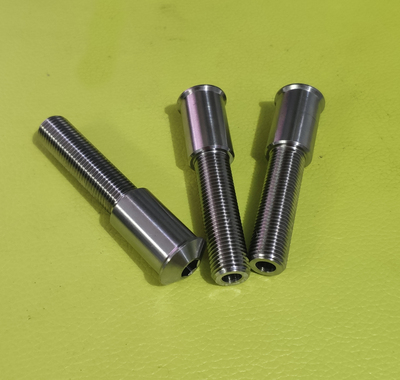 China Titanium Bolts in special design